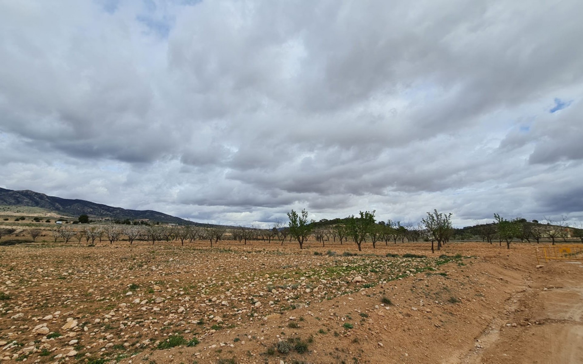 zum Verkauf - Land - Jumilla - Torre del Rico