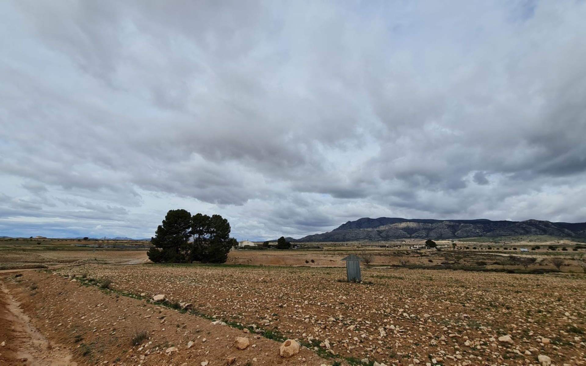 zum Verkauf - Land - Jumilla - Torre del Rico