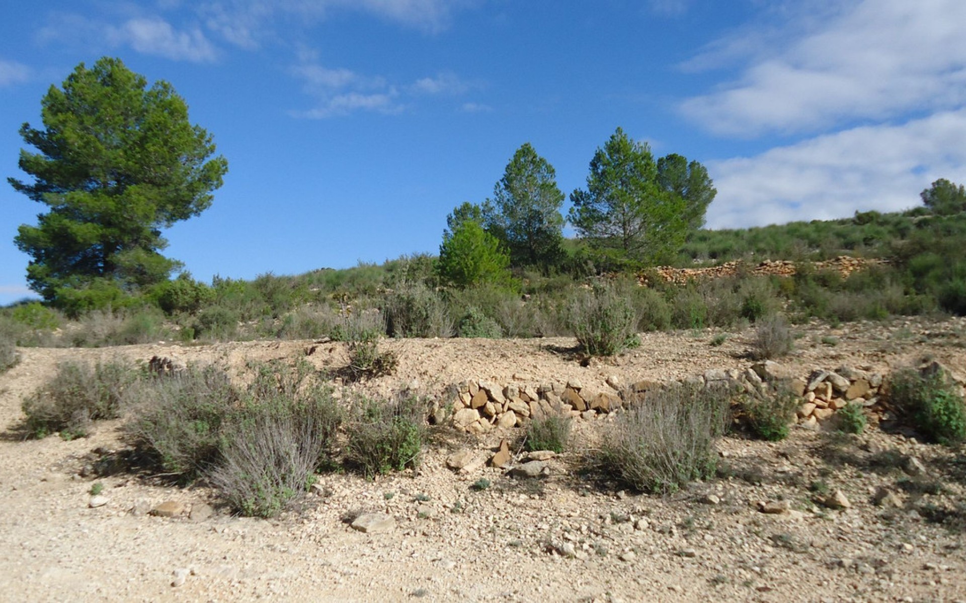 zum Verkauf - Land - Monóvar - Monòver - Monóvar - Monòver Centro