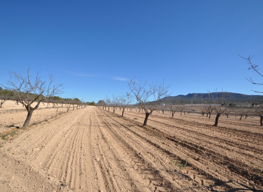 zum Verkauf - Land - Monóvar - Monòver - Monóvar - Monòver Centro