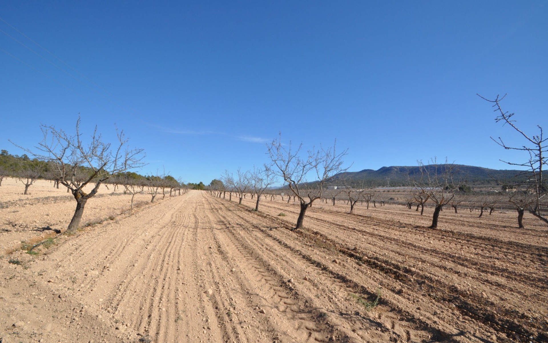 zum Verkauf - Land - Monóvar - Monòver - Monóvar - Monòver Centro