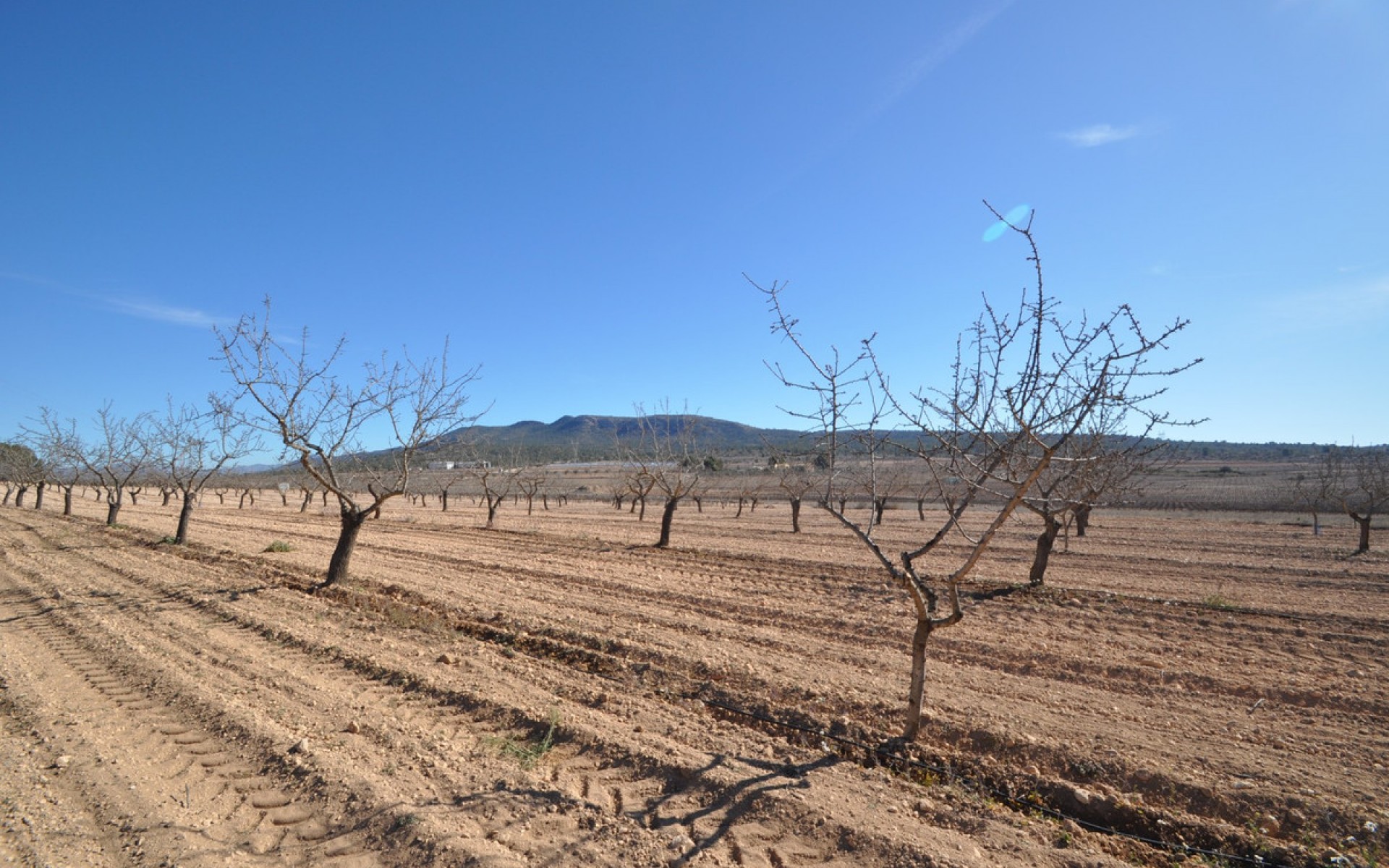 zum Verkauf - Land - Monóvar - Monòver - Monóvar - Monòver Centro