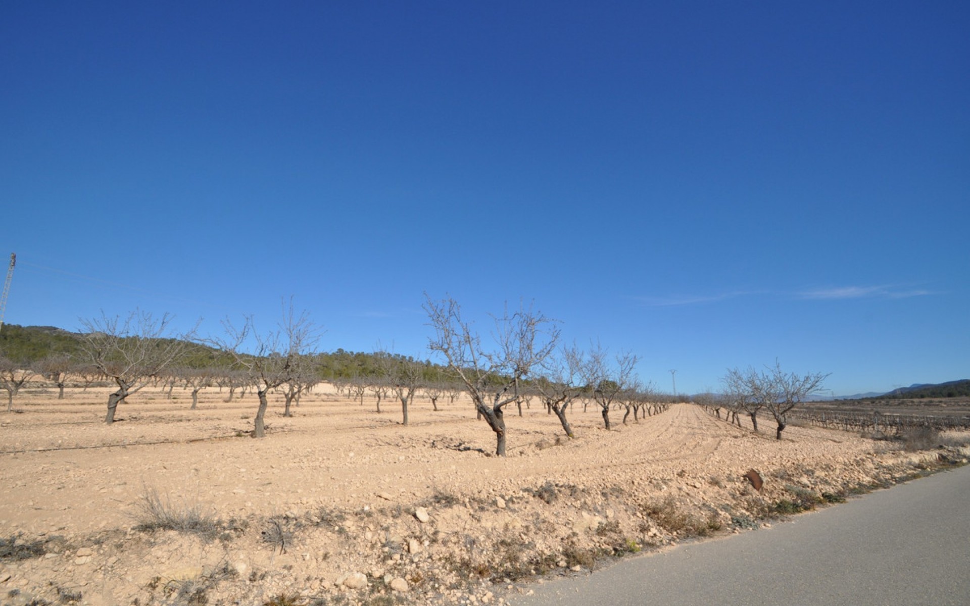 zum Verkauf - Land - Monóvar - Monòver - Monóvar - Monòver Centro