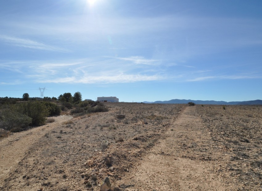 zum Verkauf - Land - Monóvar - Monòver - Monóvar - Monòver Centro