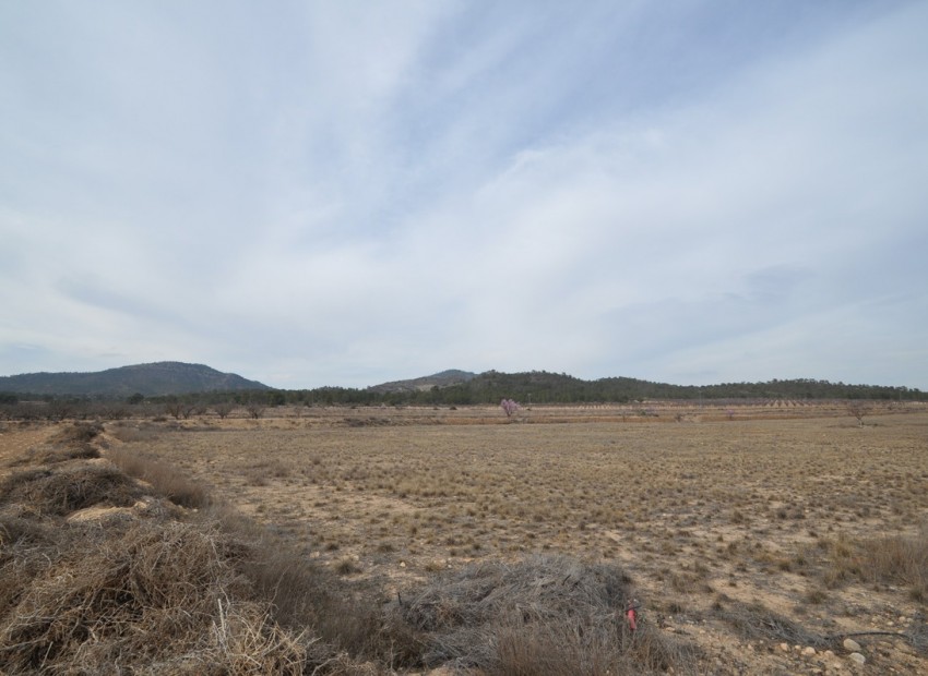 zum Verkauf - Land - Monóvar - Monòver - Monóvar - Monòver Centro