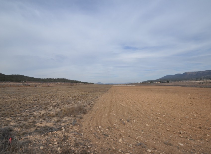 zum Verkauf - Land - Monóvar - Monòver - Monóvar - Monòver Centro