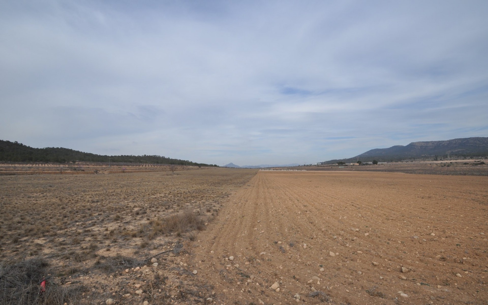 zum Verkauf - Land - Monóvar - Monòver - Monóvar - Monòver Centro