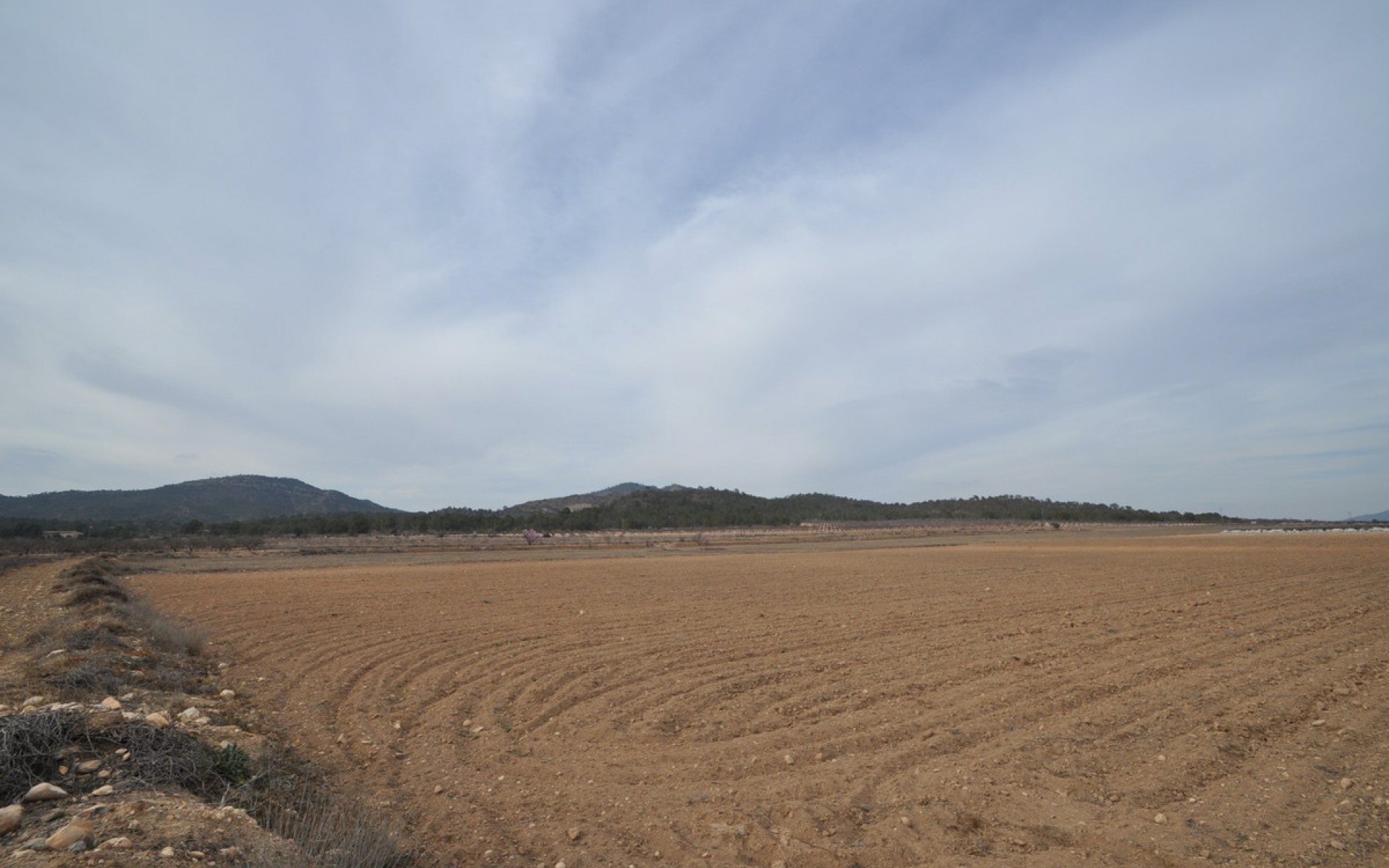 zum Verkauf - Land - Monóvar - Monòver - Monóvar - Monòver Centro