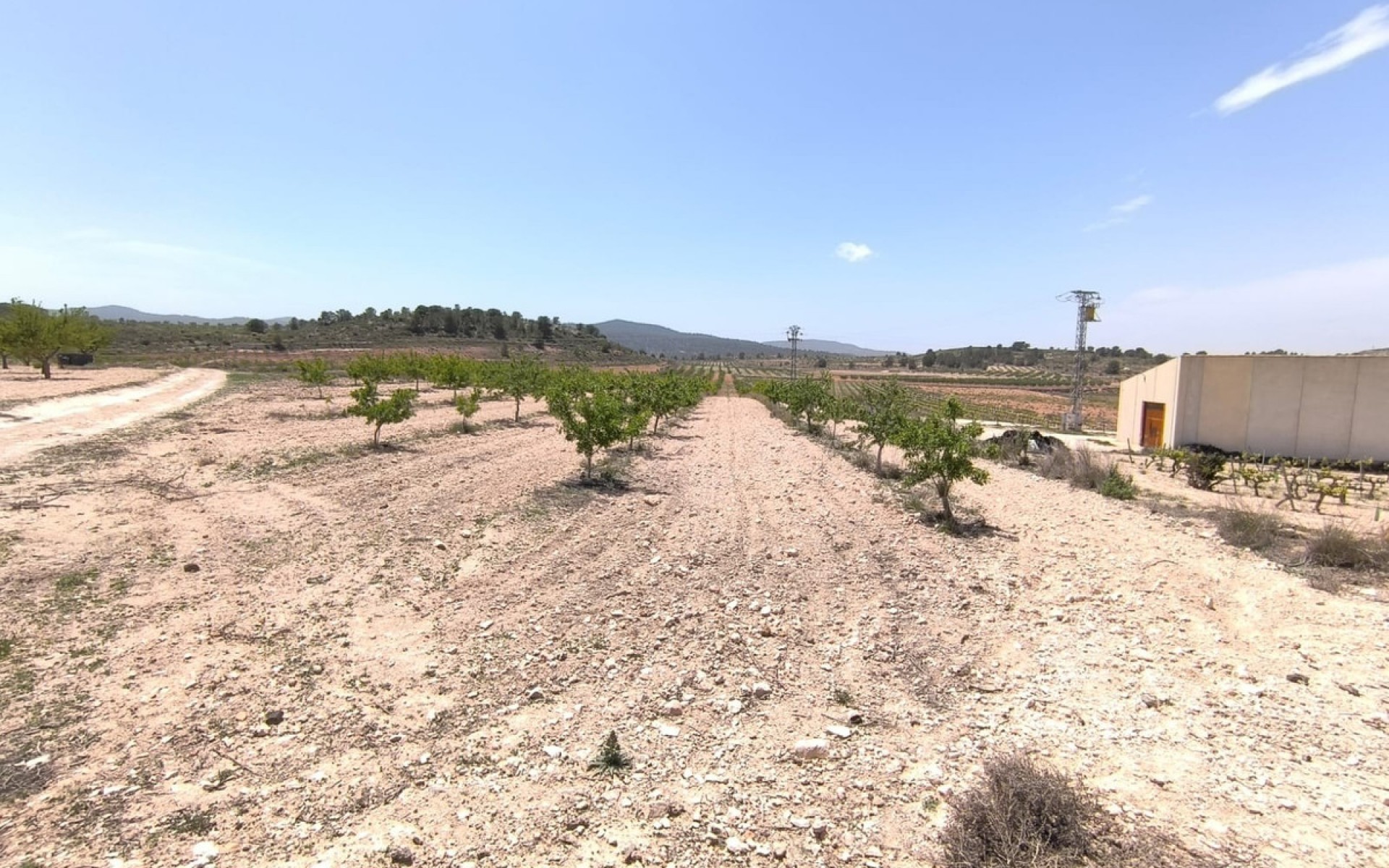 zum Verkauf - Land - Monóvar - Monòver - Monóvar - Monòver Centro