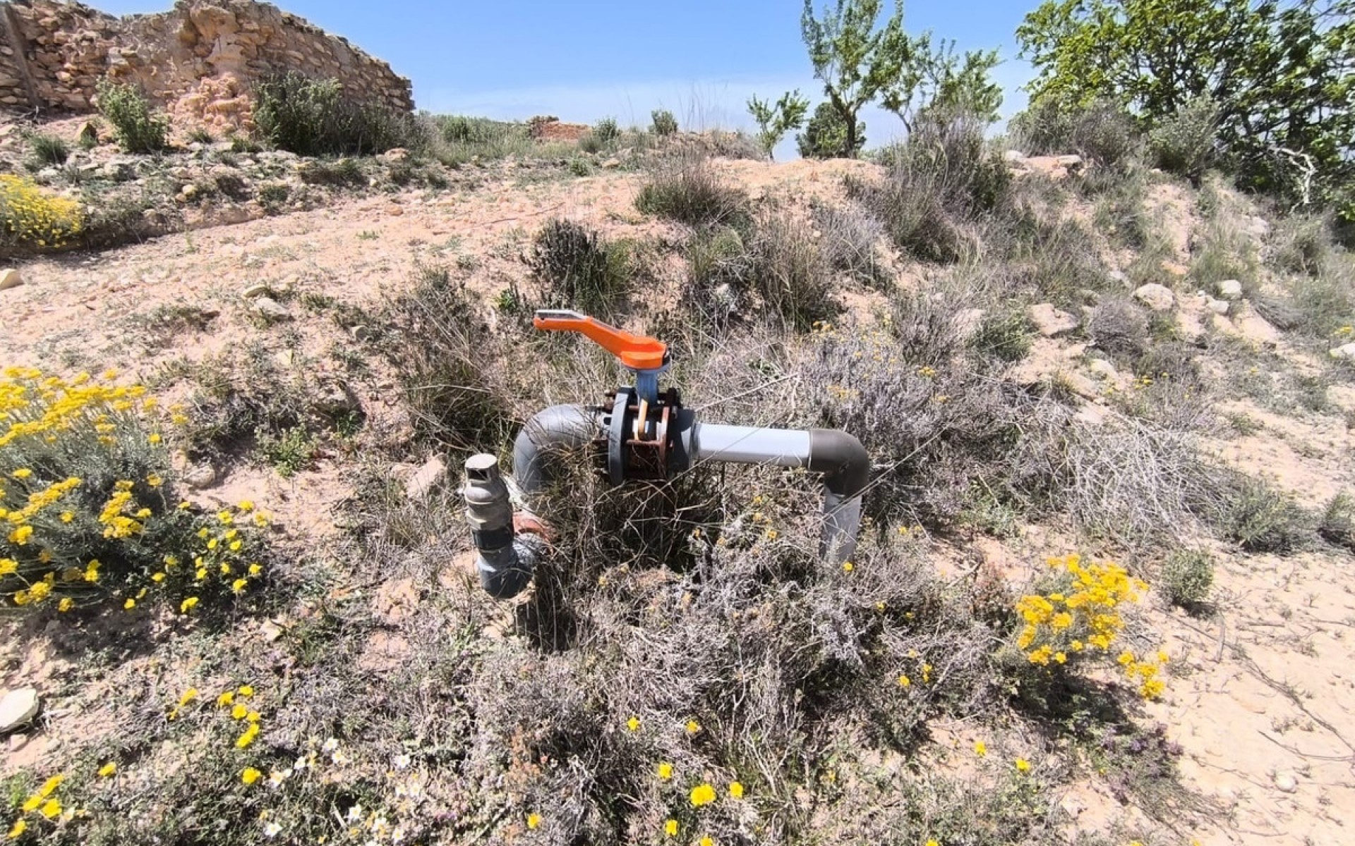 zum Verkauf - Land - Monóvar - Monòver - Monóvar - Monòver Centro