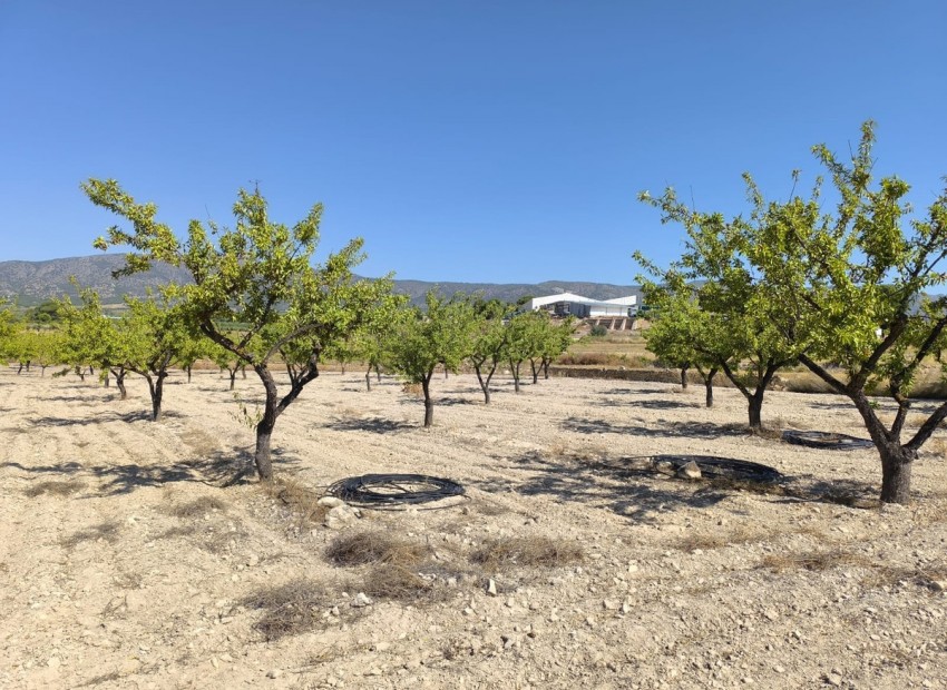 zum Verkauf - Land - Monóvar - Monòver - Monóvar - Monòver Centro