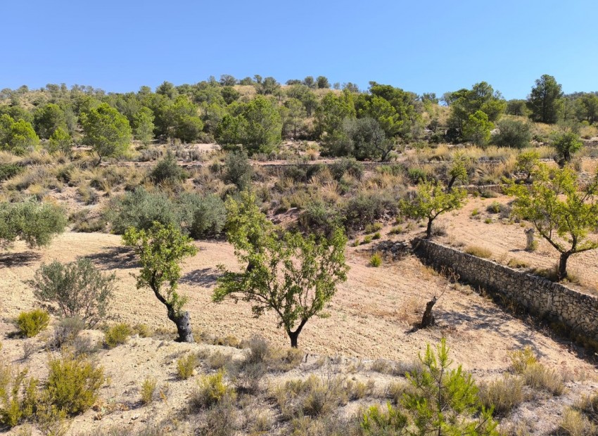 zum Verkauf - Land - Monóvar - Monòver - Monóvar - Monòver Centro