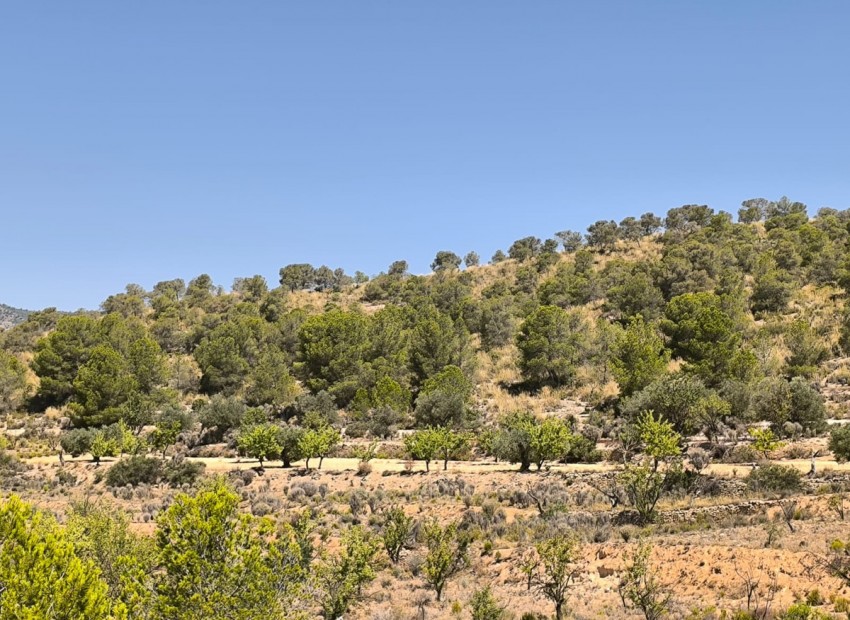 zum Verkauf - Land - Monóvar - Monòver - Monóvar - Monòver Centro