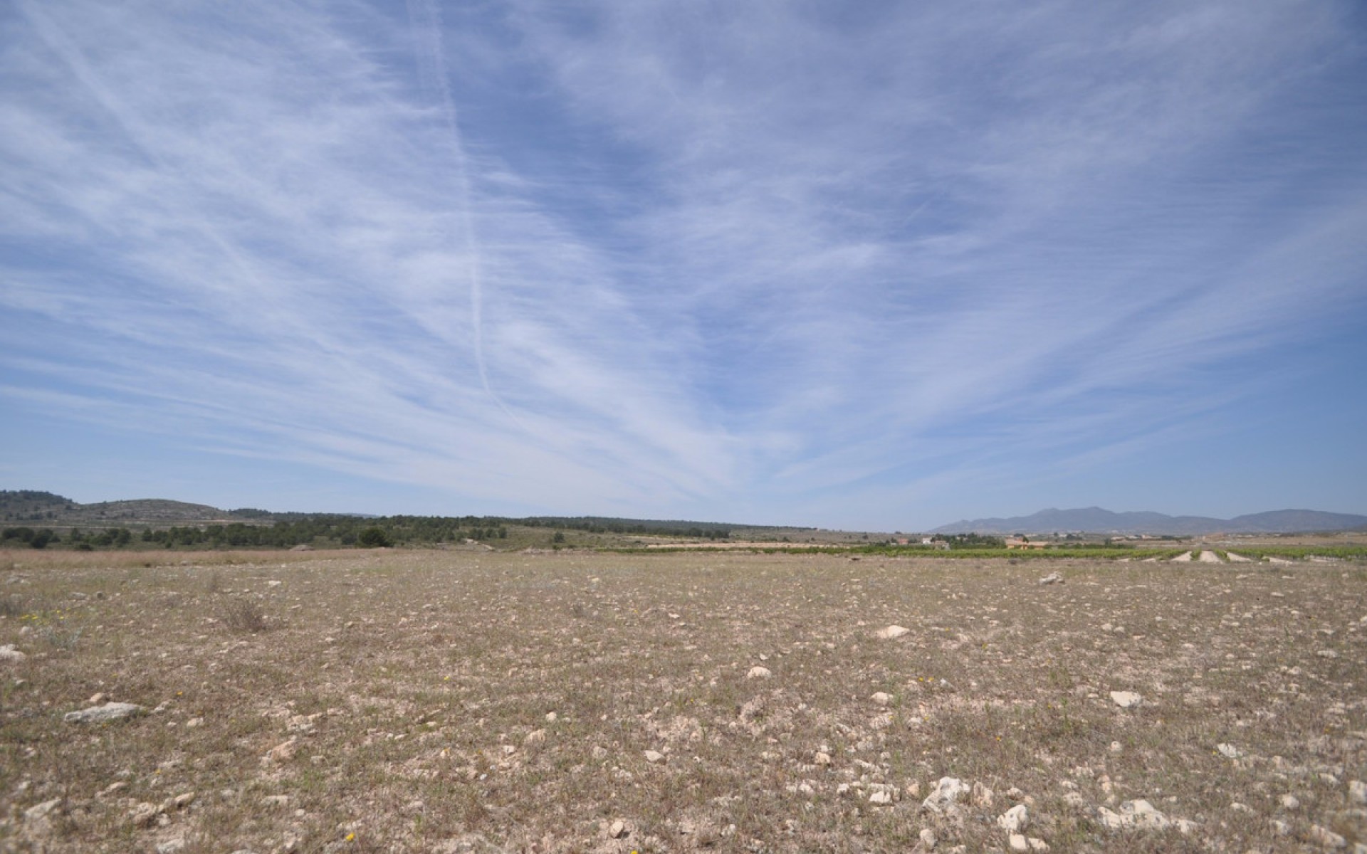 zum Verkauf - Land - Pinoso - Pinoso Centro
