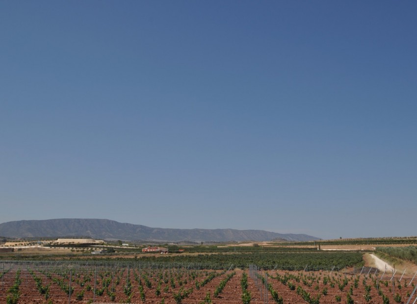 zum Verkauf - Land - Pinoso - Pinoso Centro