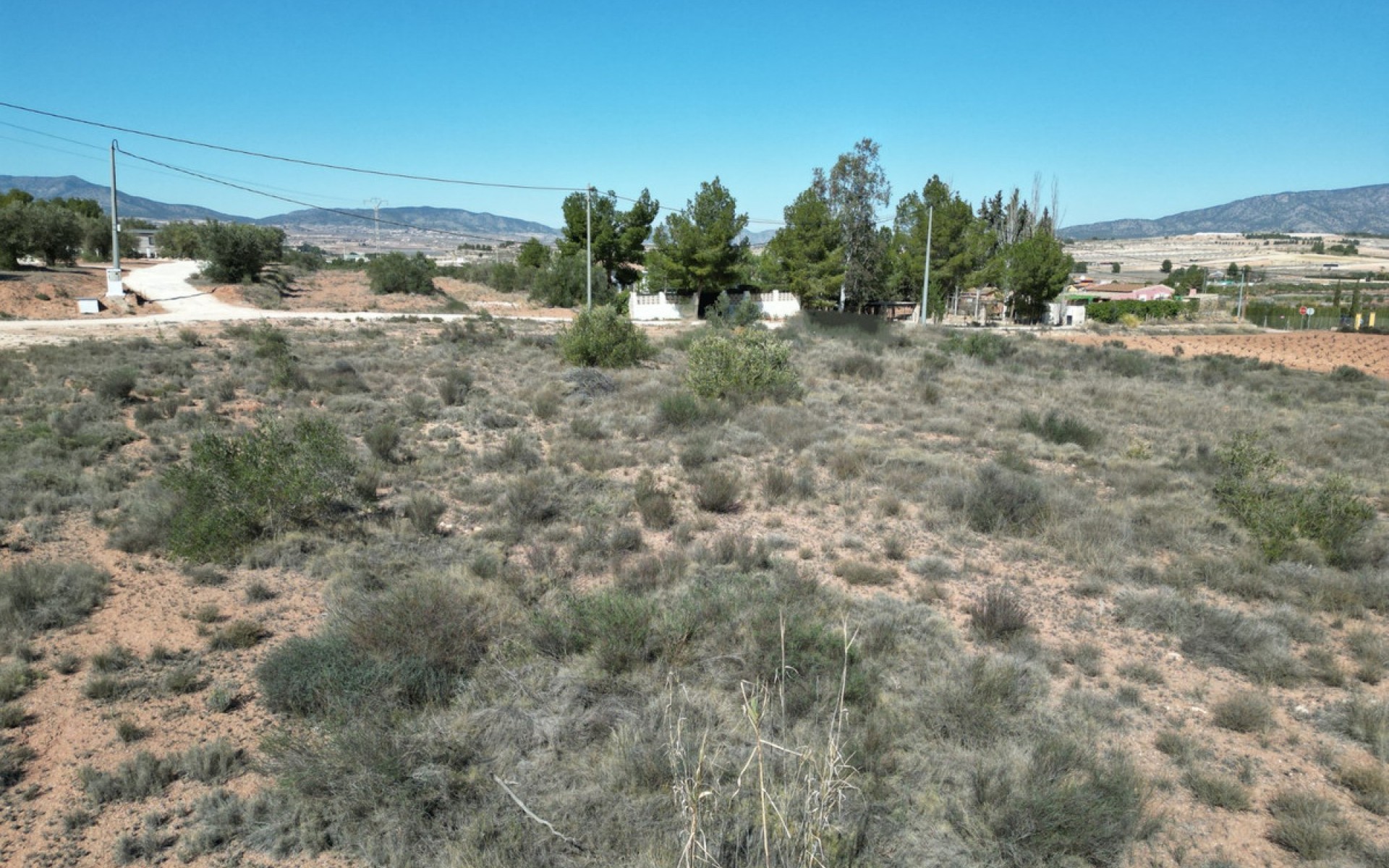 zum Verkauf - Land - Pinoso - Pinoso Centro