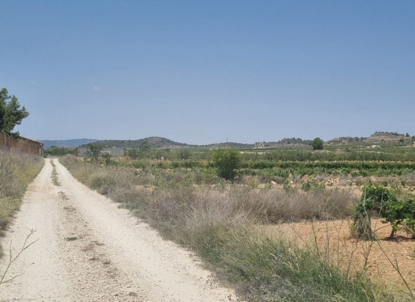 zum Verkauf - Land - Pinoso - Pinoso Centro