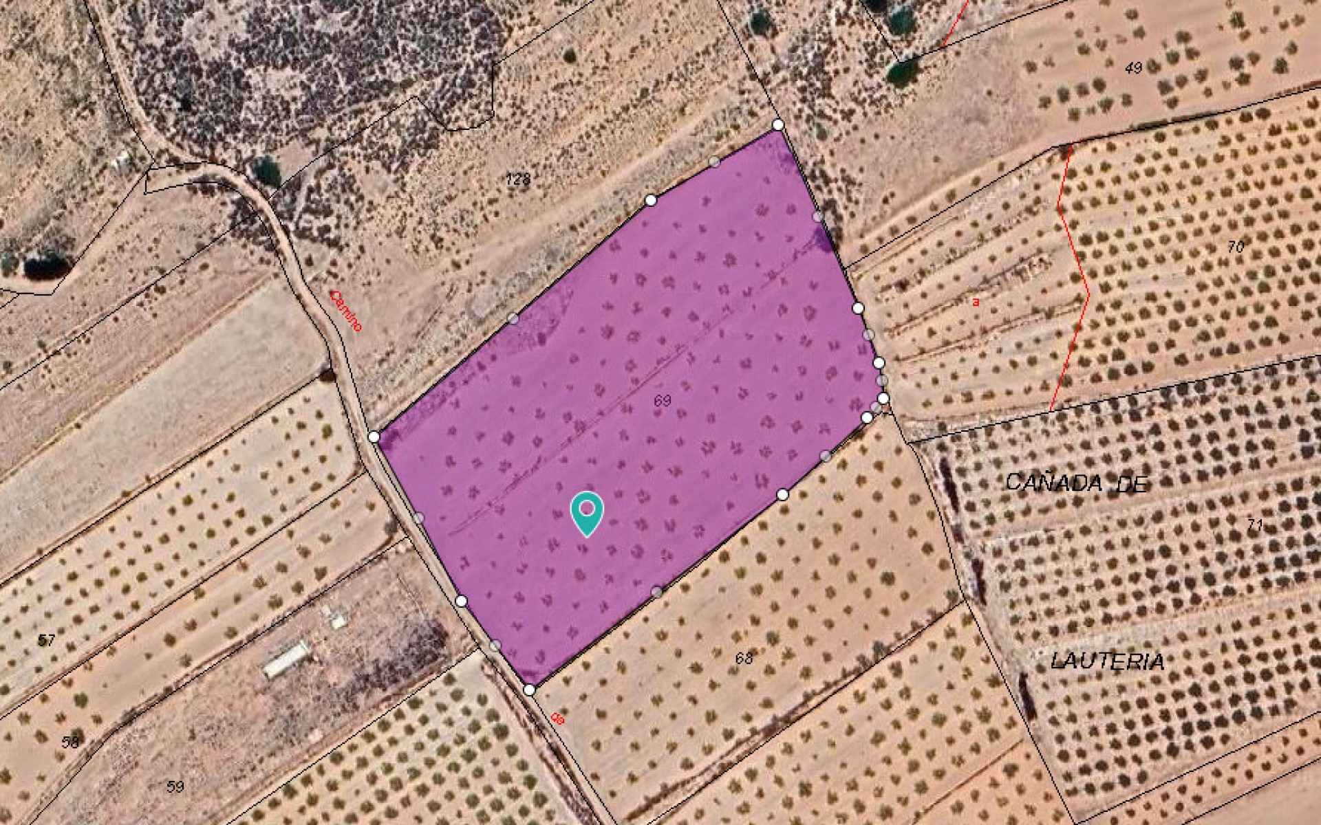 zum Verkauf - Land - Pinoso - Pinoso Centro