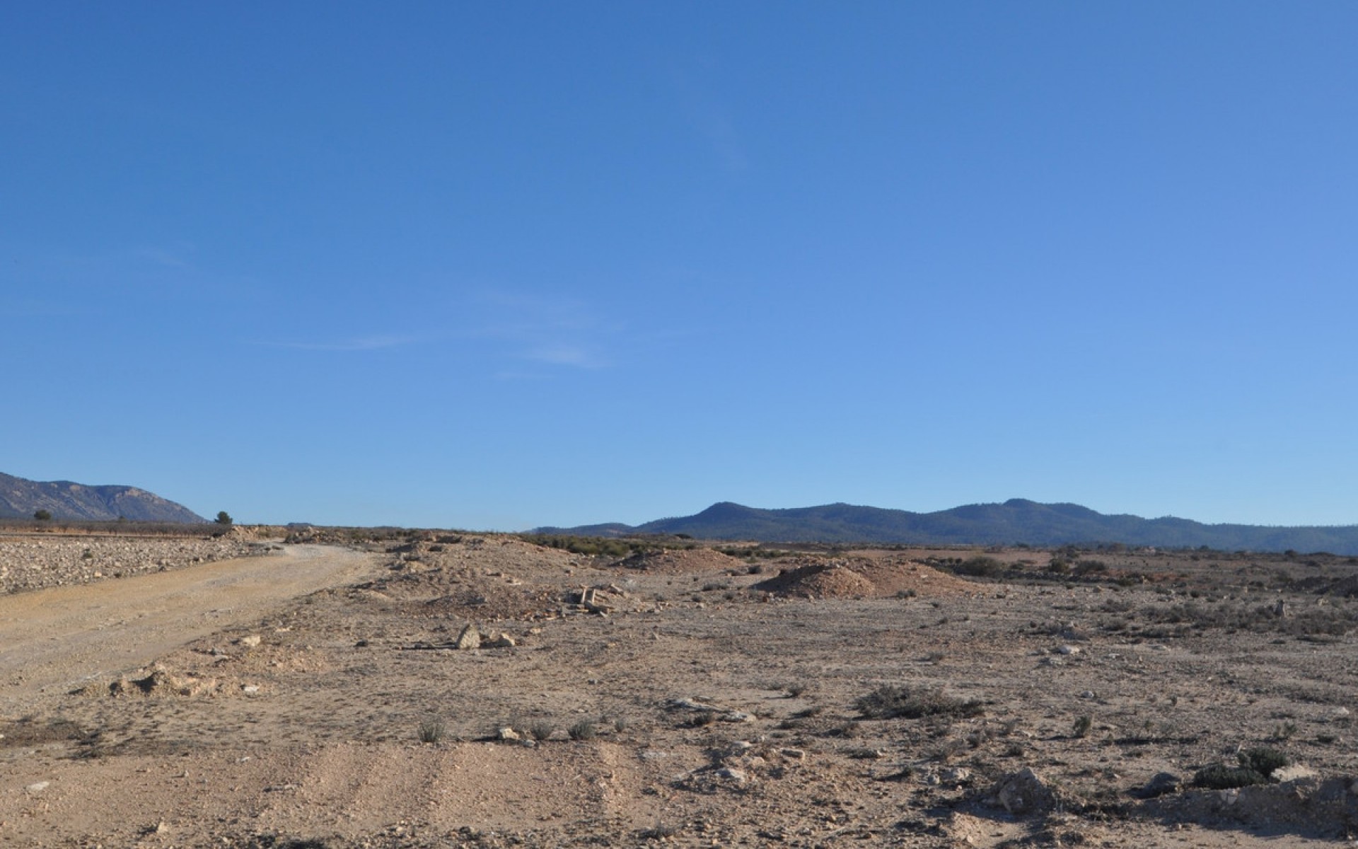 zum Verkauf - Land - Pinoso - Pinoso Centro