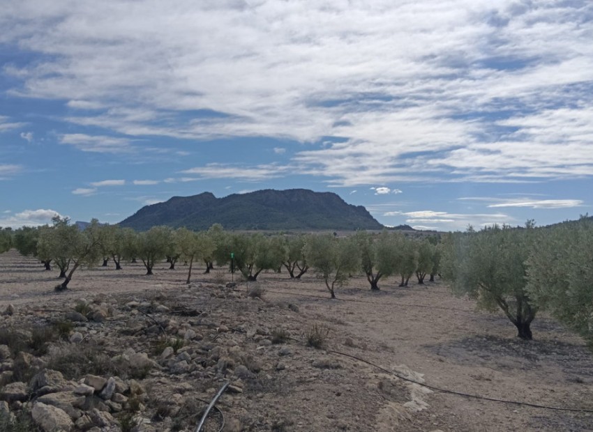 zum Verkauf - Land - Salinas - Salinas Centro
