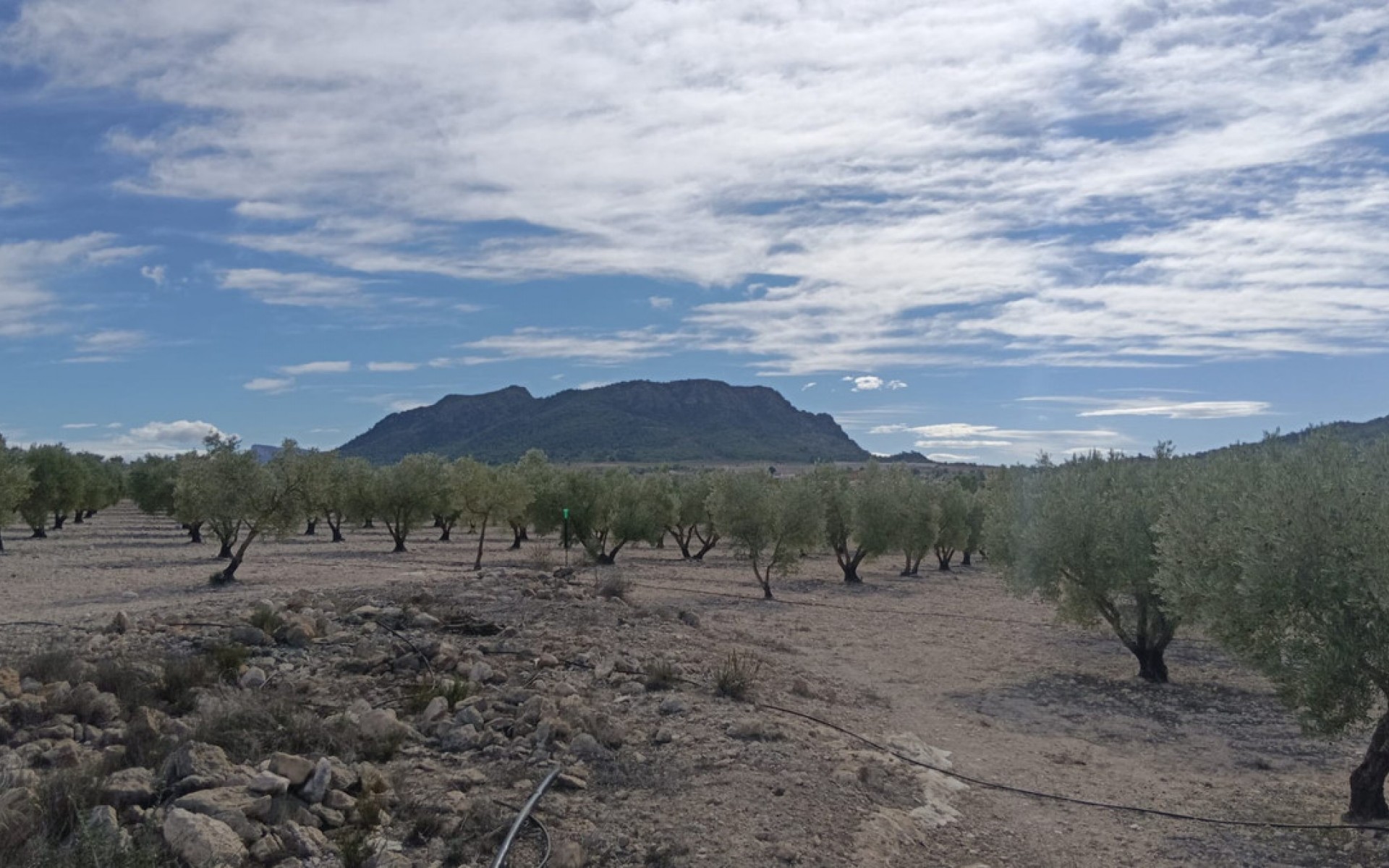 zum Verkauf - Land - Salinas - Salinas Centro