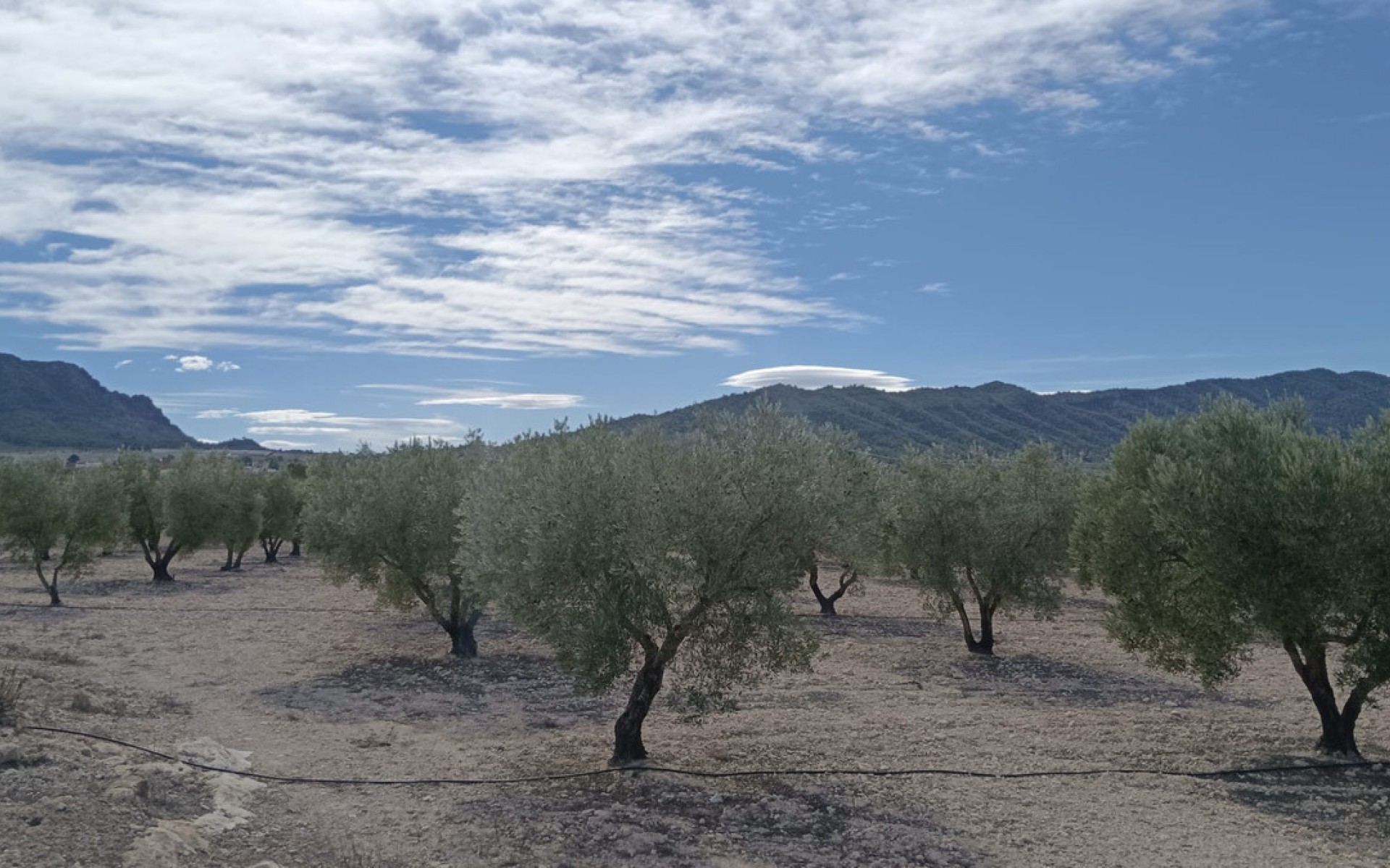 zum Verkauf - Land - Salinas - Salinas Centro