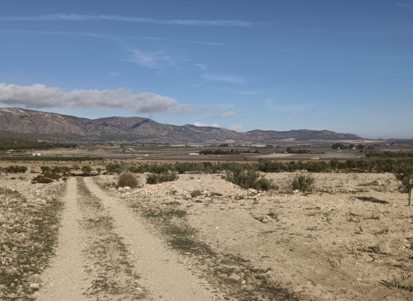 zum Verkauf - Land - Salinas - Salinas Centro