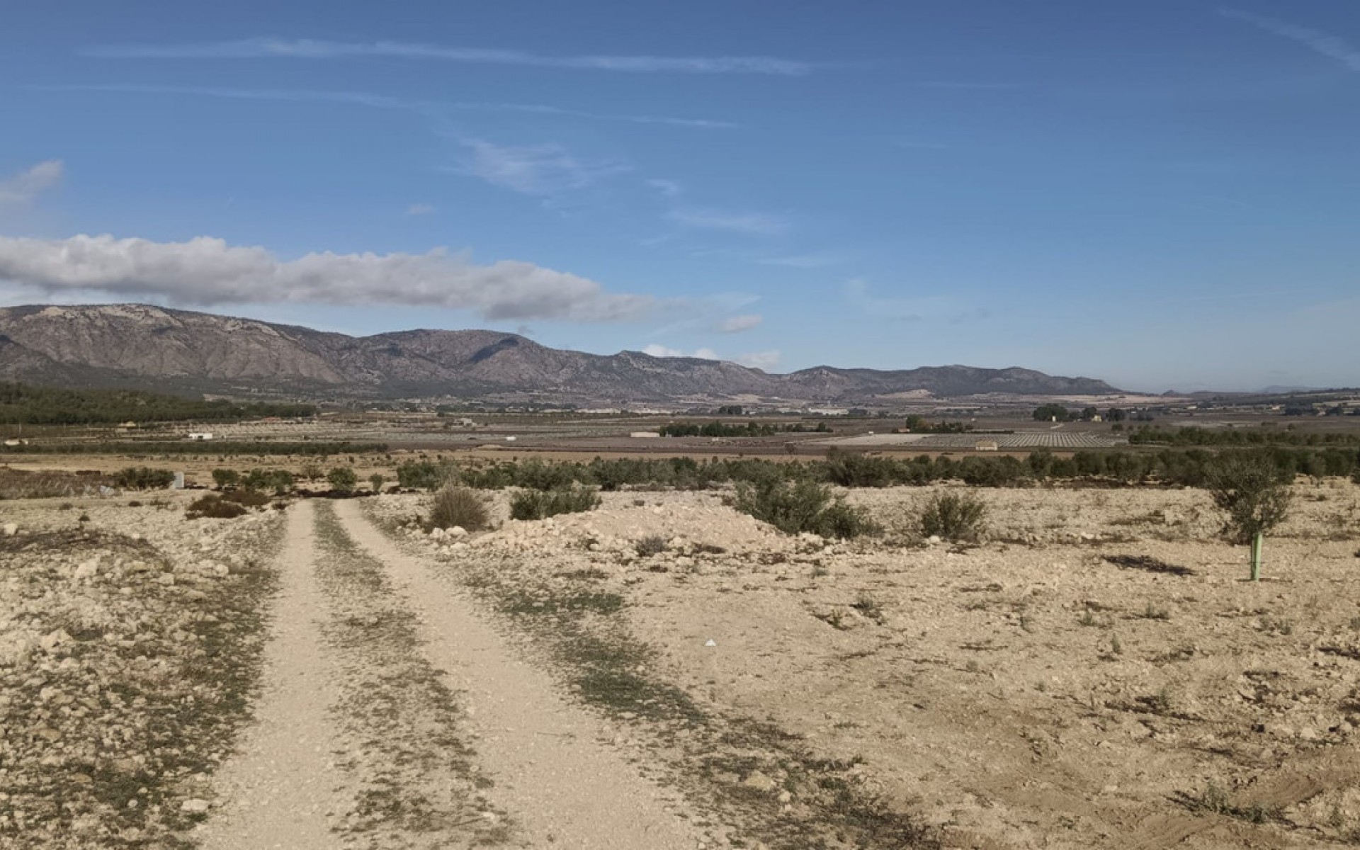 zum Verkauf - Land - Salinas - Salinas Centro