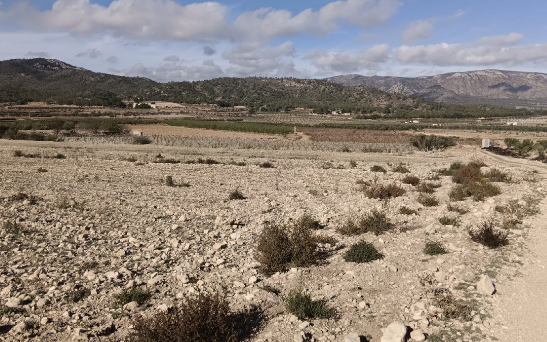 zum Verkauf - Land - Salinas - Salinas Centro