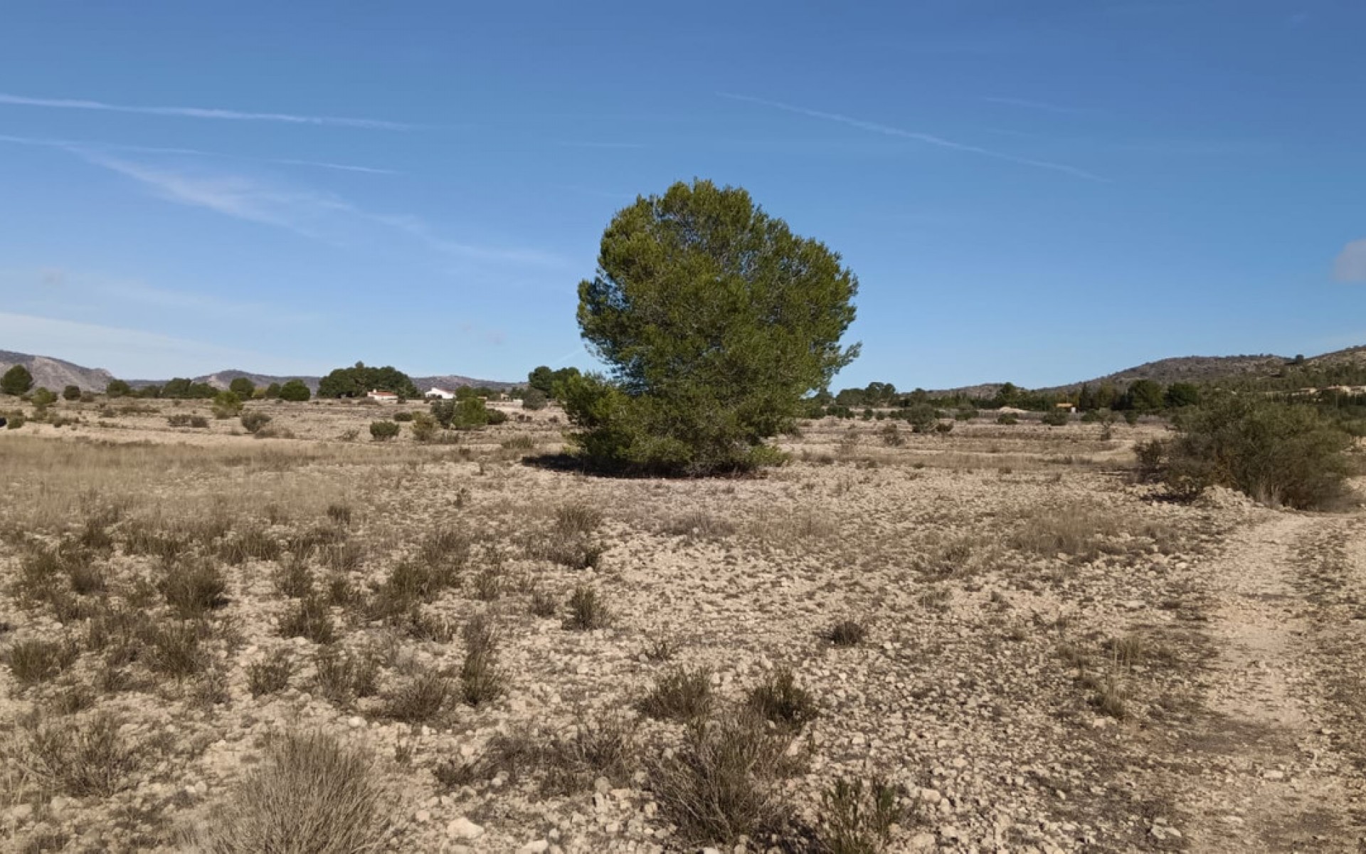 zum Verkauf - Land - Salinas - Salinas Centro