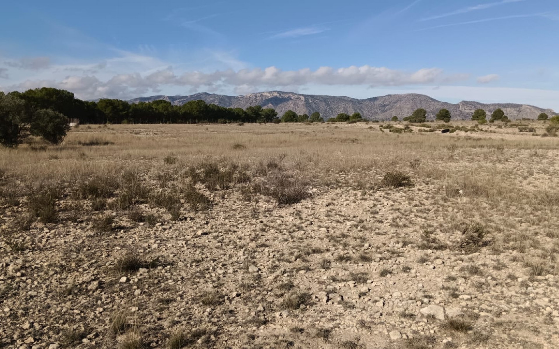 zum Verkauf - Land - Salinas - Salinas Centro