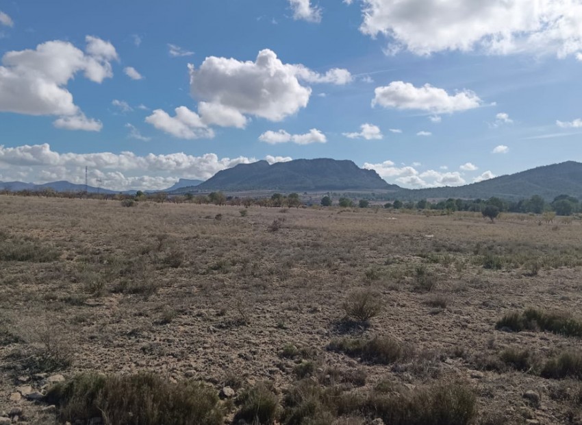 zum Verkauf - Land - Salinas - Salinas Centro