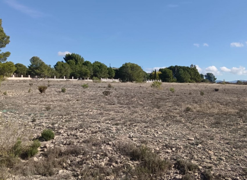 zum Verkauf - Land - Salinas - Salinas Centro