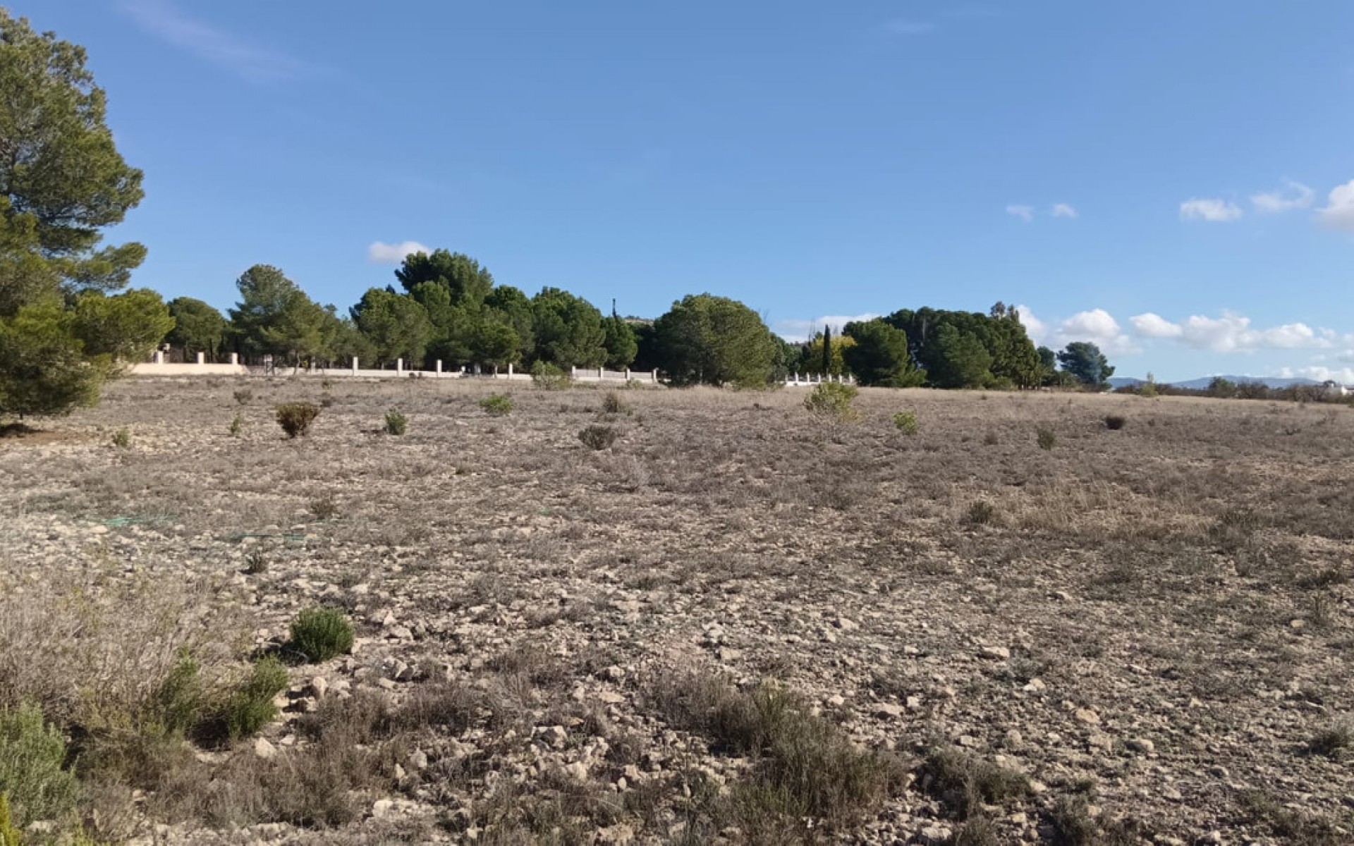 zum Verkauf - Land - Salinas - Salinas Centro