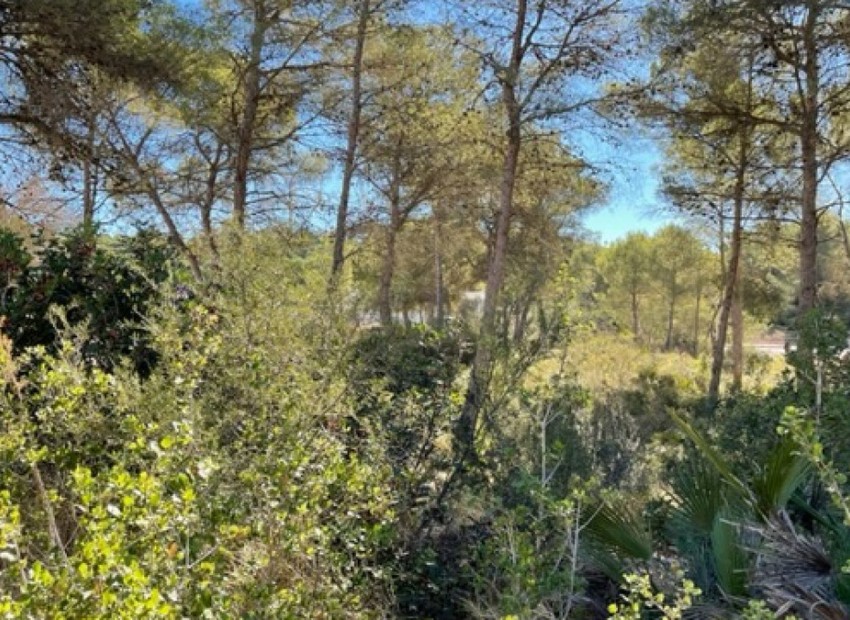 zum Verkauf - Land - Villajoyosa - La Cala