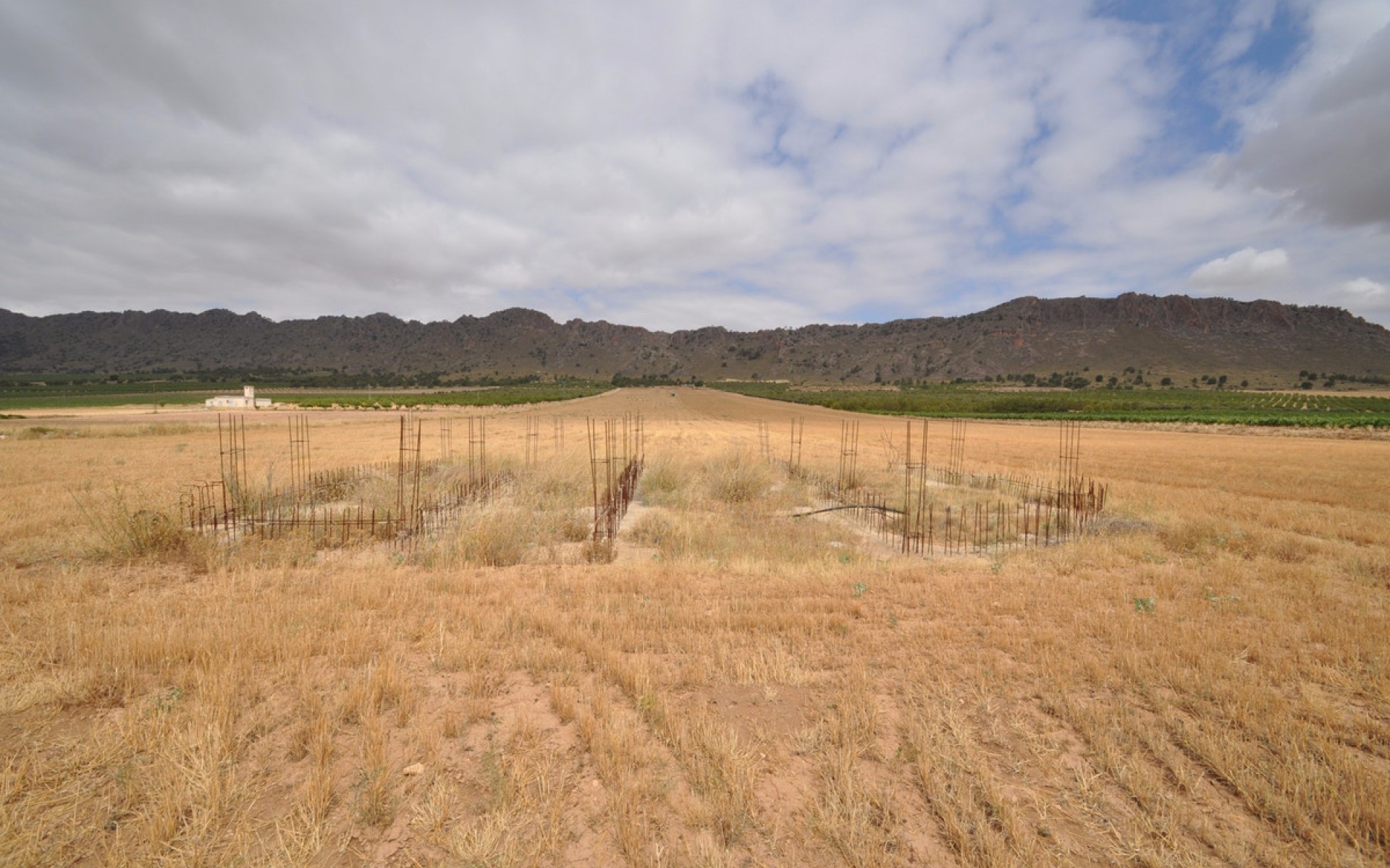 zum Verkauf - Land - Yecla - Yecla Centro