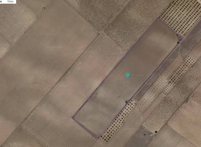 zum Verkauf - Land - Yecla - Yecla Centro