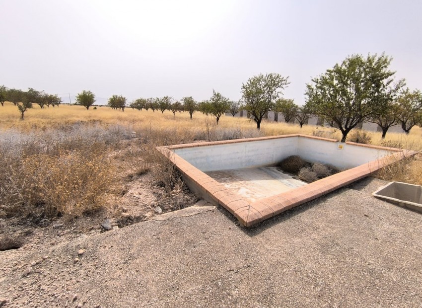 zum Verkauf - Land - Yecla - Yecla Centro