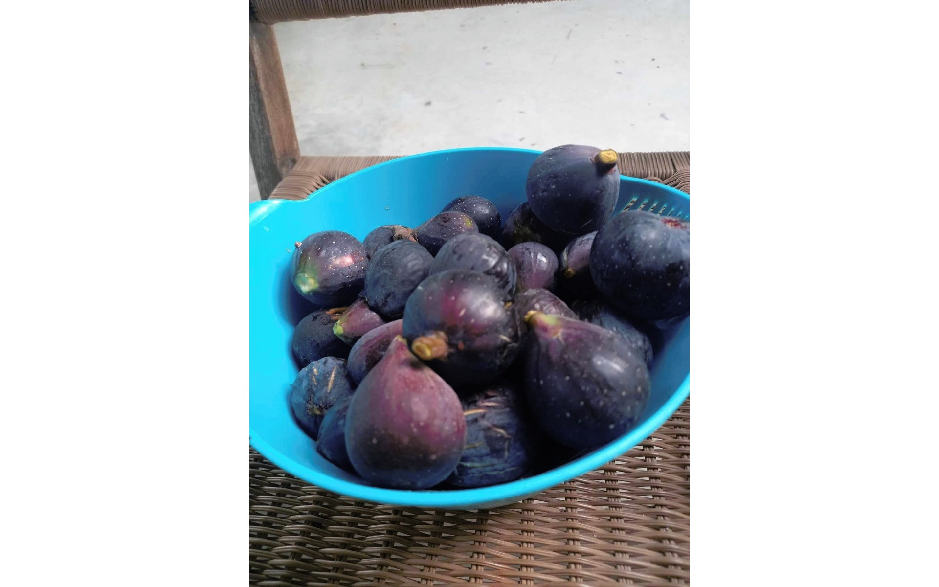 zum Verkauf - Landhaus - Dolores - Dolores Centro