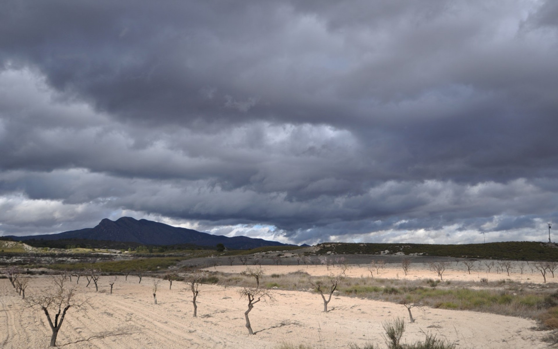 zum Verkauf - Landhaus - Jumilla - Jumilla Centro