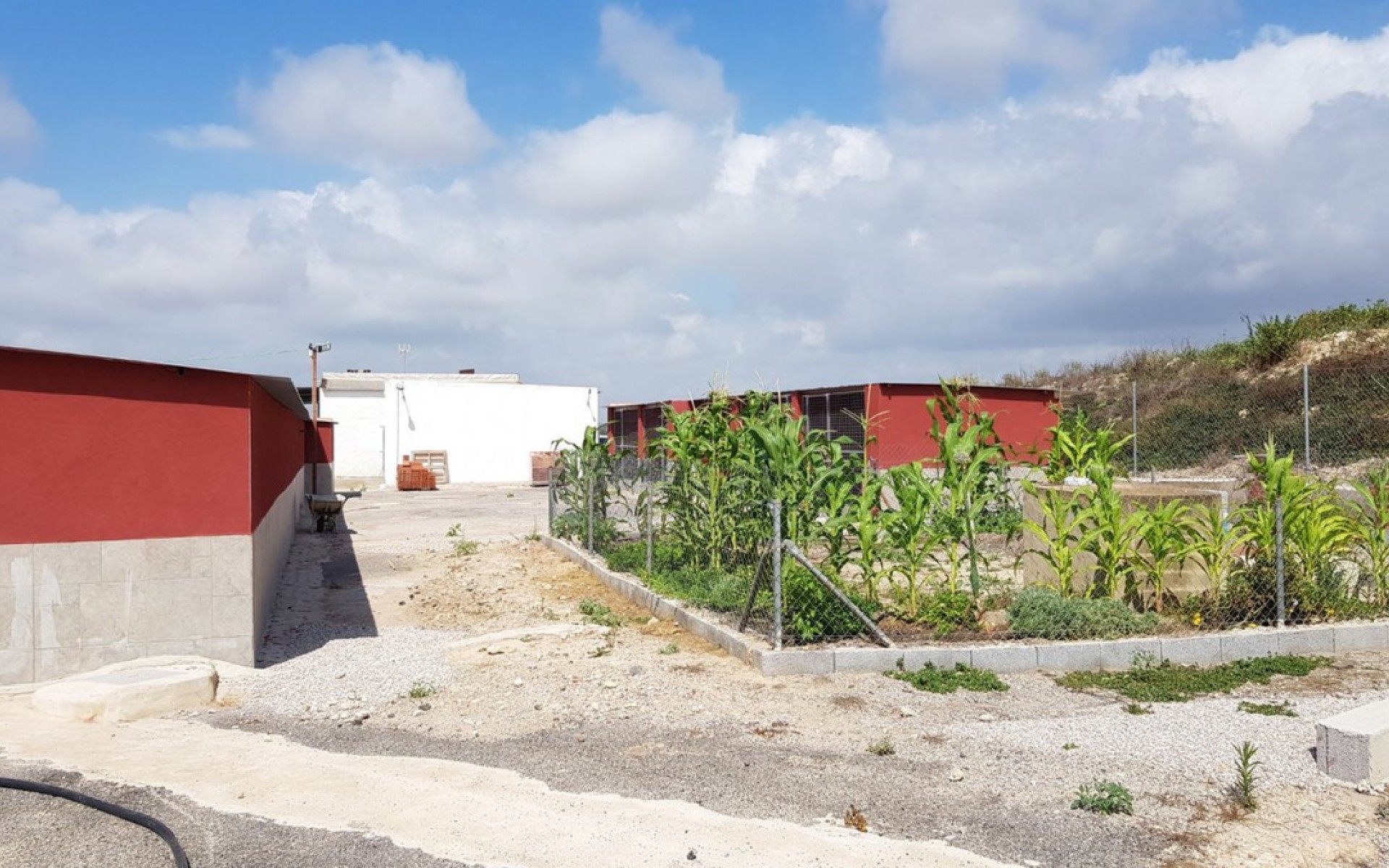 zum Verkauf - Landhaus - Los Montesinos - Los Montesinos Centro