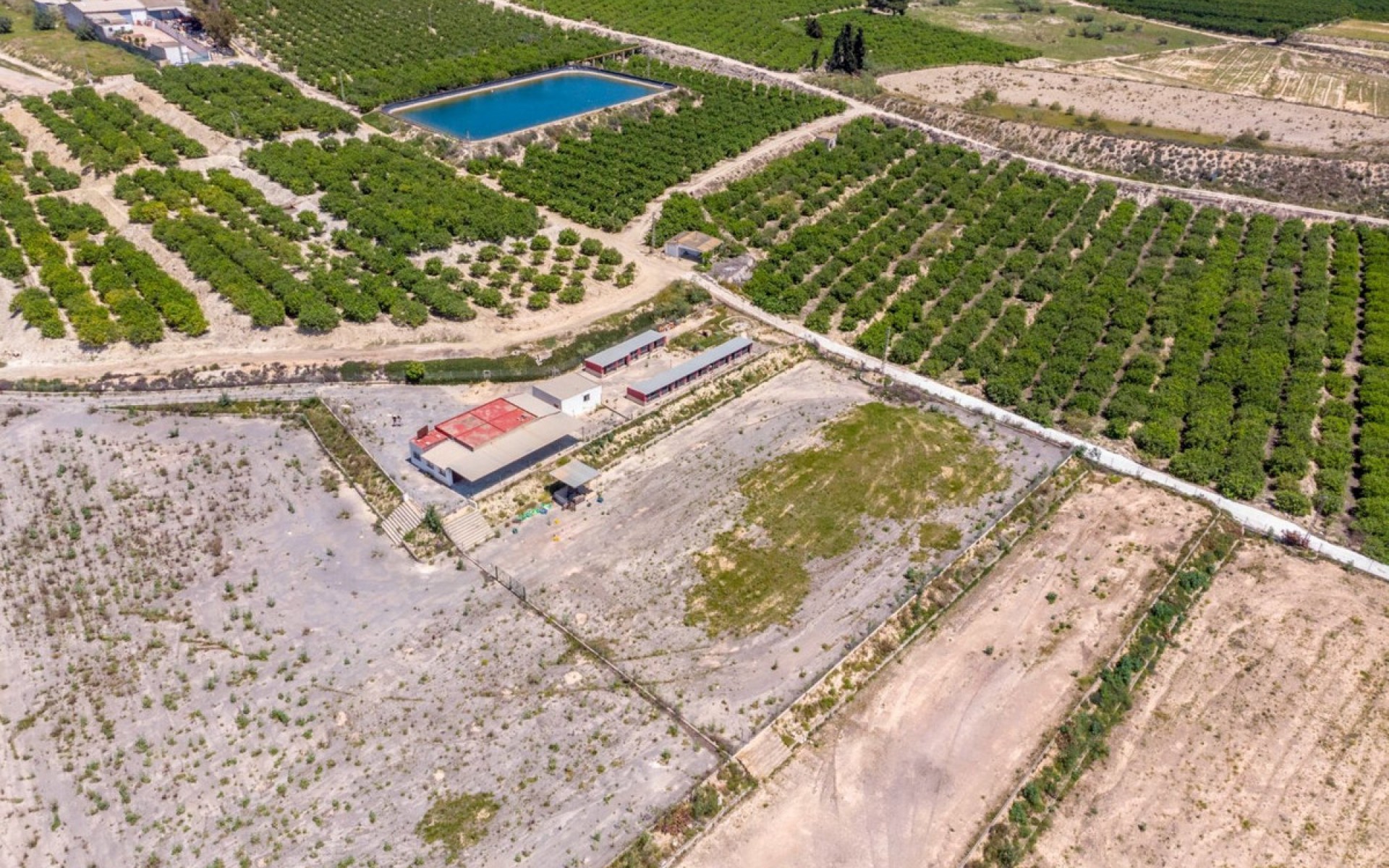 zum Verkauf - Landhaus - Los Montesinos - Los Montesinos Centro