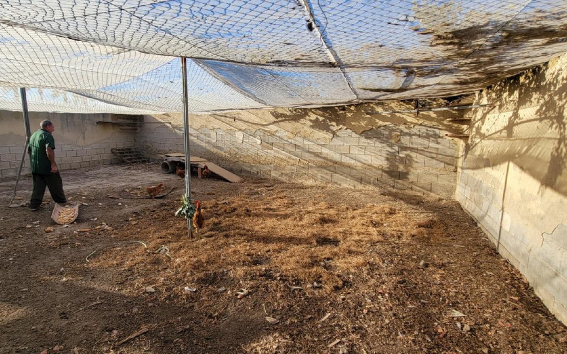 zum Verkauf - Landhaus - San Miguel De Salinas - San Miguel de Salinas Centro