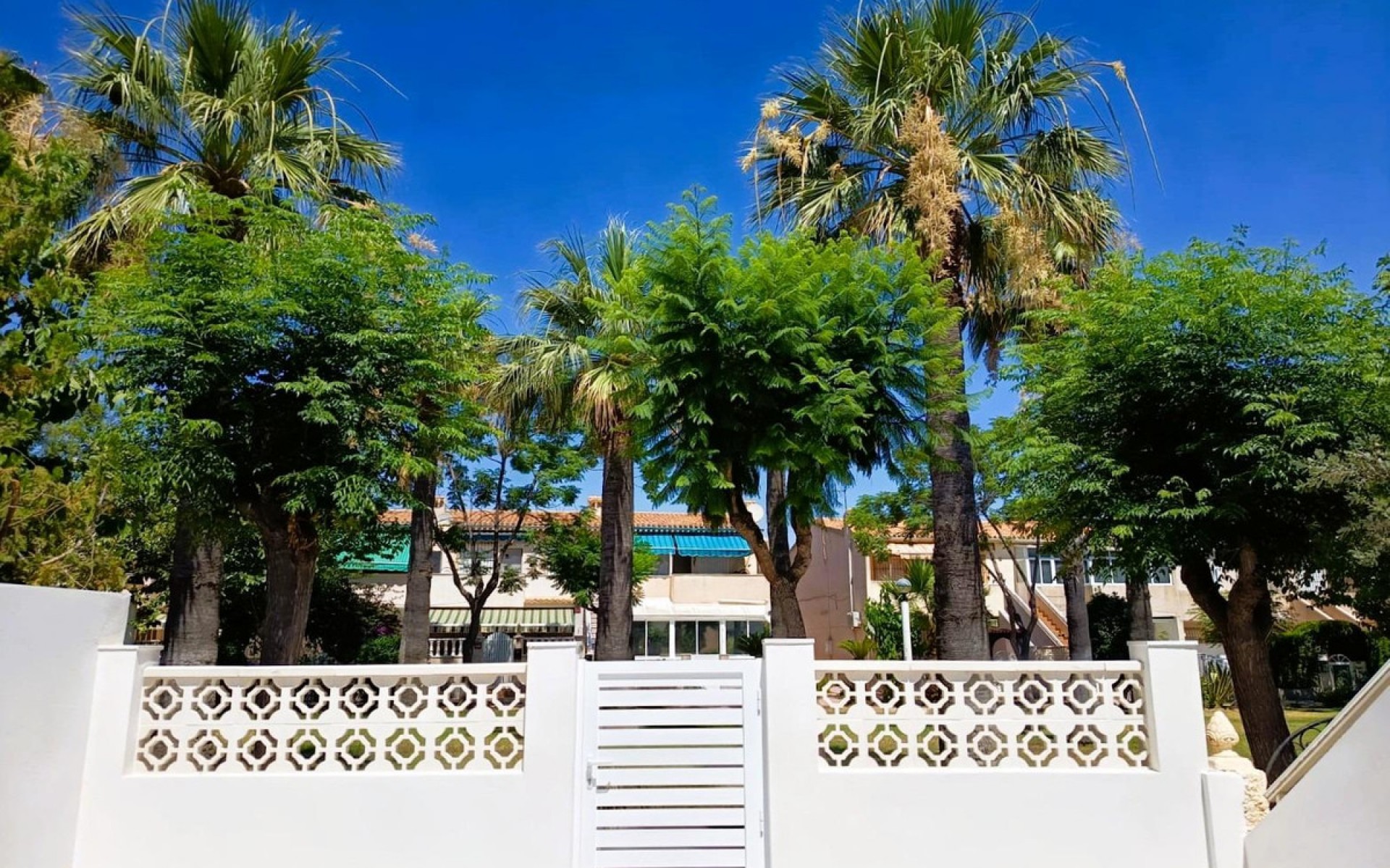zum Verkauf - Reihenhaus - Cabo Roig - La Regia