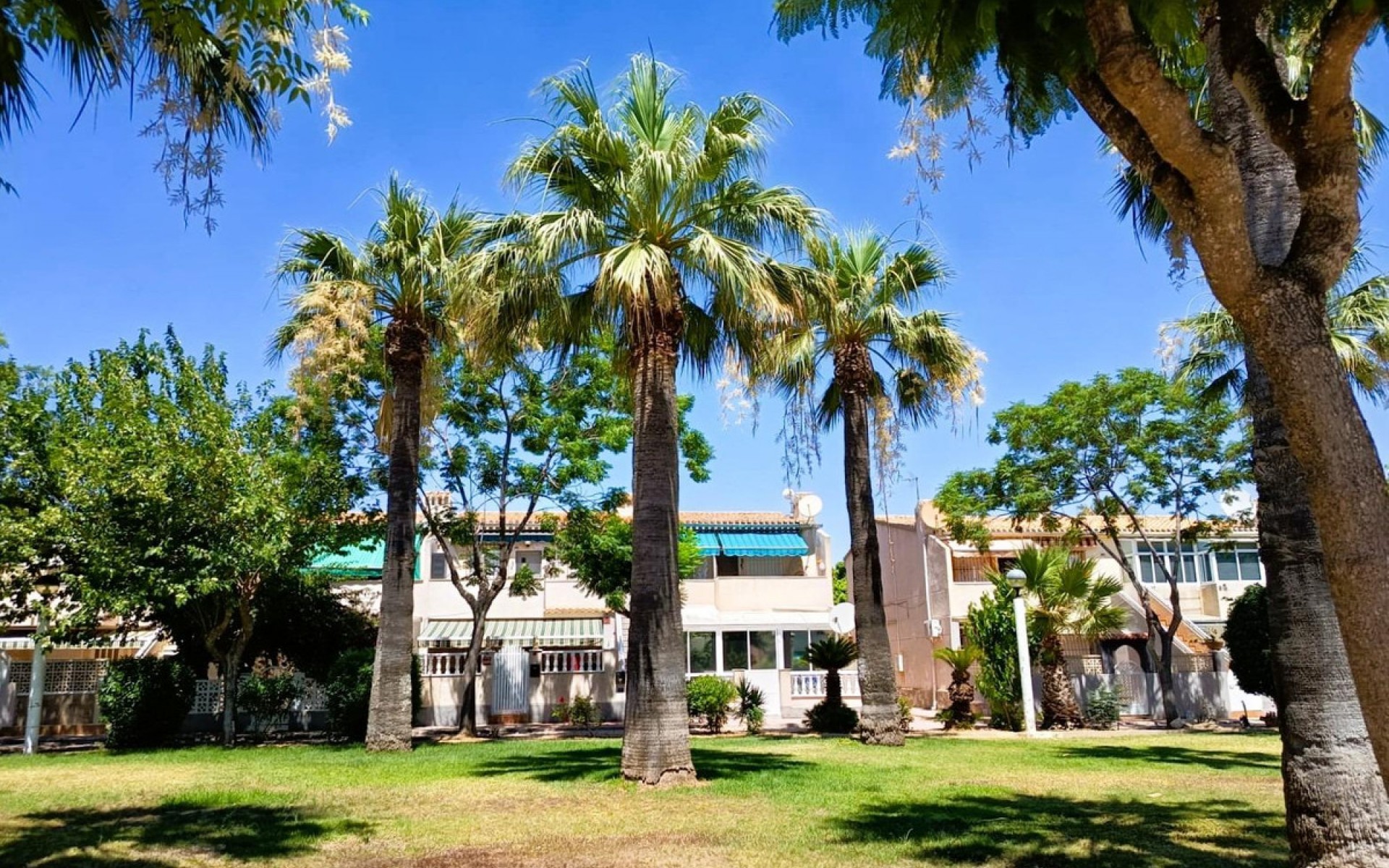 zum Verkauf - Reihenhaus - Cabo Roig - La Regia
