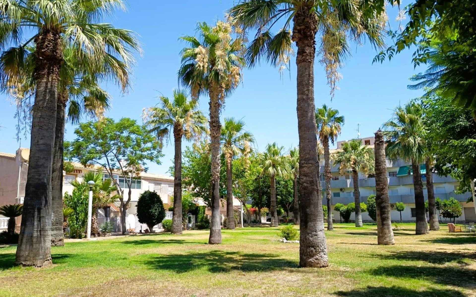 zum Verkauf - Reihenhaus - Cabo Roig - La Regia