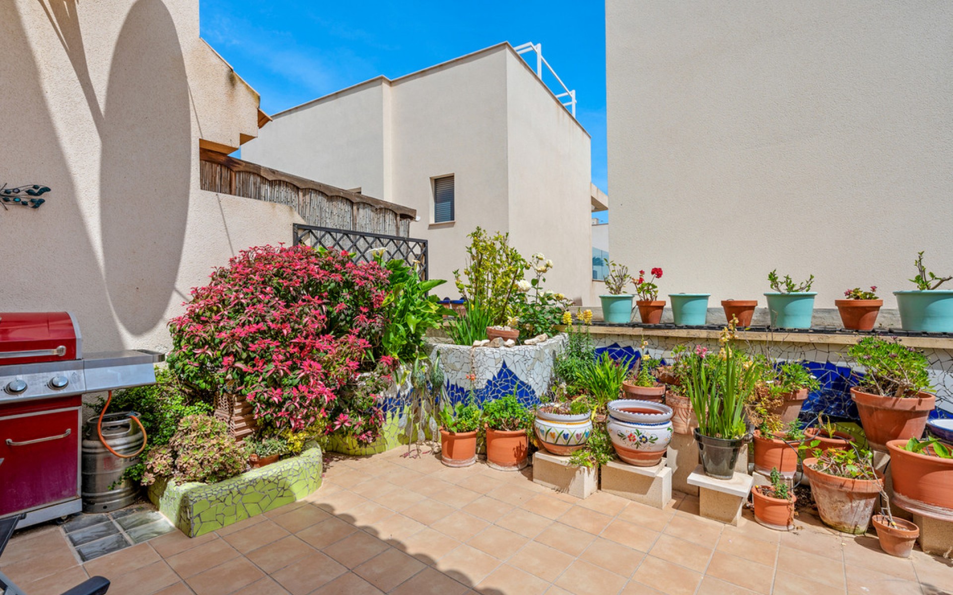 zum Verkauf - Reihenhaus - San Miguel De Salinas - San Miguel de Salinas Centro