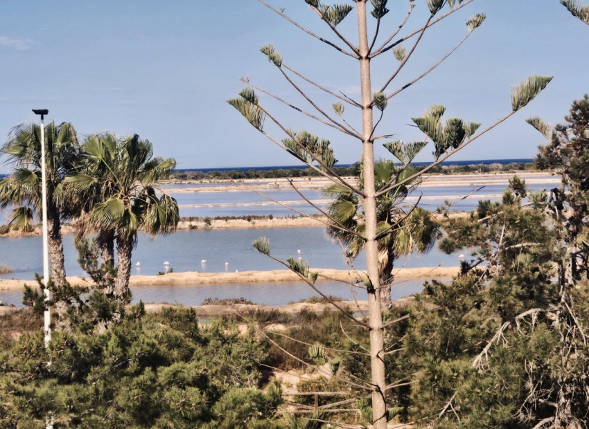 zum Verkauf - Reihenhaus - San Pedro del Pinatar - Lo Pagan