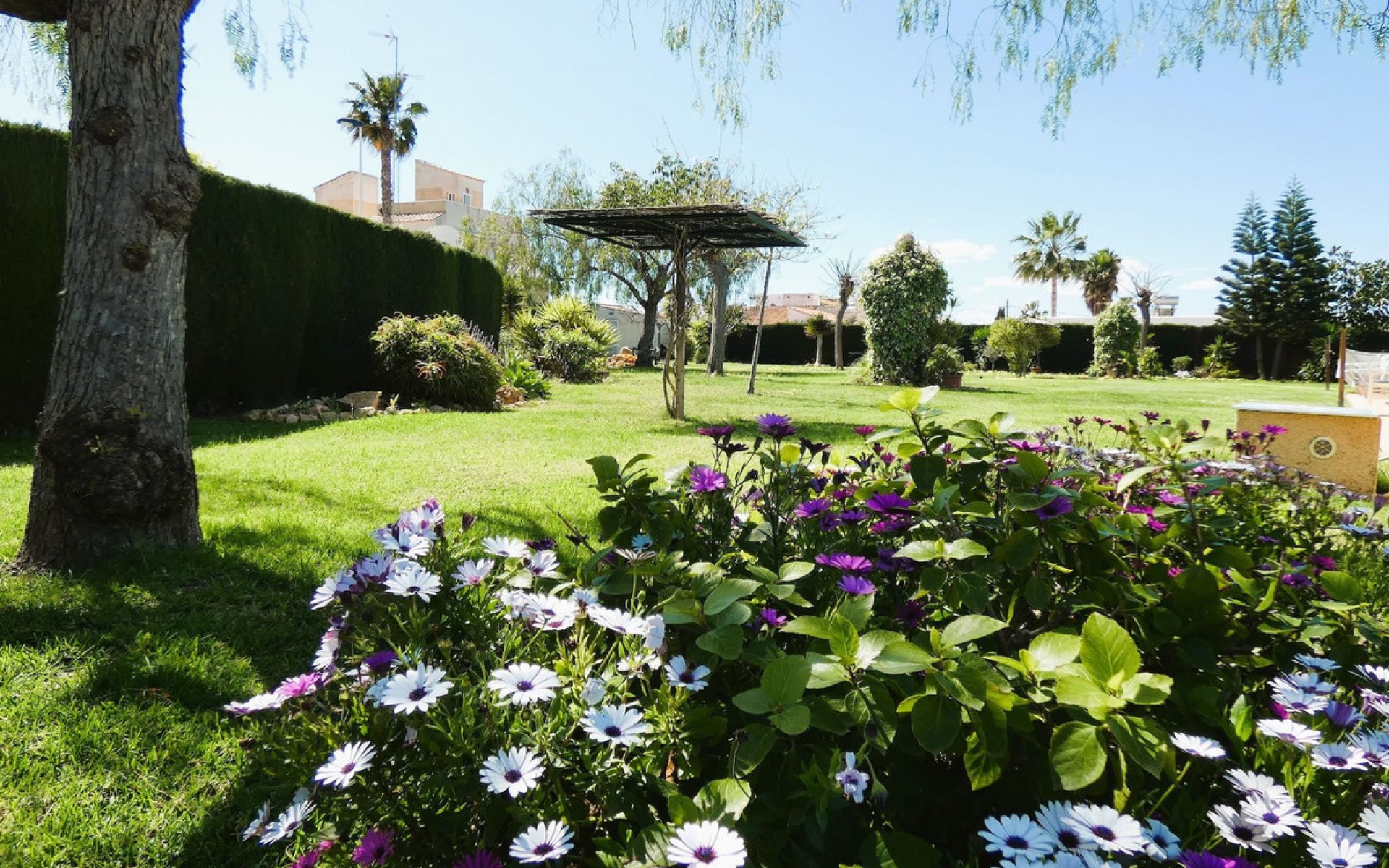 zum Verkauf - Reihenhaus - Torrevieja - Torrevieja Centro