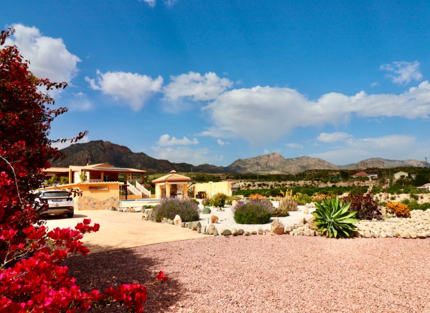 zum Verkauf - Villa - Albatera - Albatera Centro